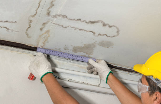 Affordable Basement Flood Cleanup solutions in Hamel, IL